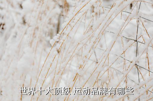 運動有關的公司名字大全,比賽激發(fā)夢想戰(zhàn)斗磨礪鋒芒第一集