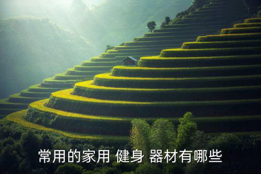 健身小器材有哪些,你知道健身房里常見(jiàn)的健身器材有哪些?