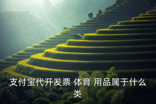 支付寶代開(kāi)發(fā)票 體育 用品屬于什么類