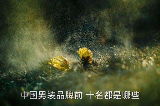 中國男裝品牌前 十名都是哪些