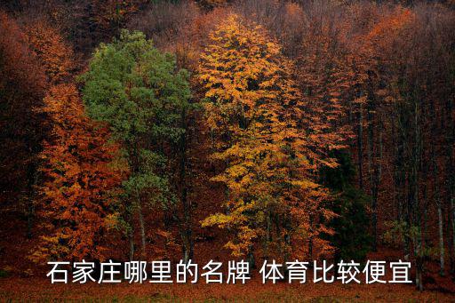 石家莊體育器械專賣店,體育設備有限公司石家莊唯一折扣店