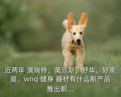 近兩年 澳瑞特、英派斯、舒華、好家庭、wnq 健身 器材有什么新產(chǎn)品推出都...