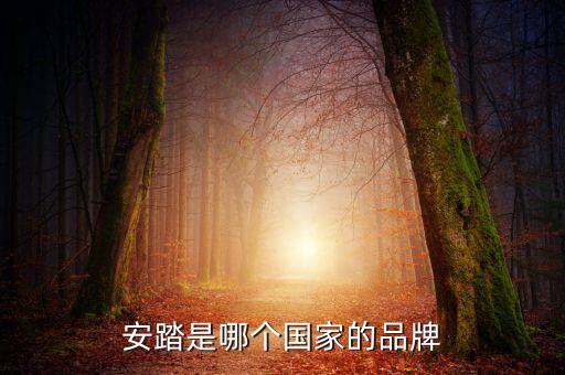 法國(guó)體育用品店叫什么,安踏集團(tuán)成全球第三大體育品牌企業(yè)