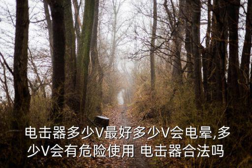  電擊器多少V最好多少V會電暈,多少V會有危險(xiǎn)使用 電擊器合法嗎