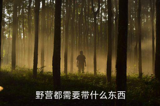  野營都需要帶什么東西