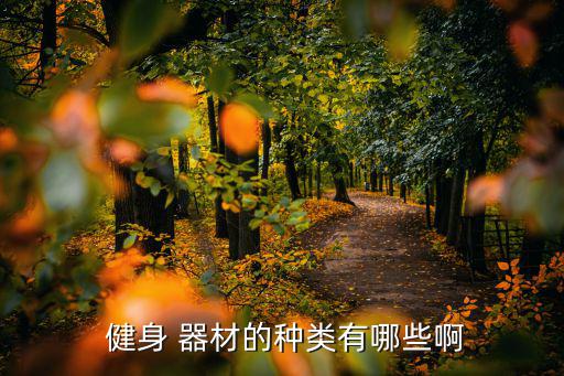  健身 器材的種類有哪些啊