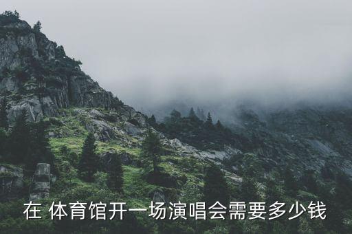 在 體育館開一場演唱會需要多少錢