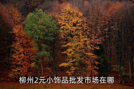 柳州2元小飾品批發(fā)市場在哪