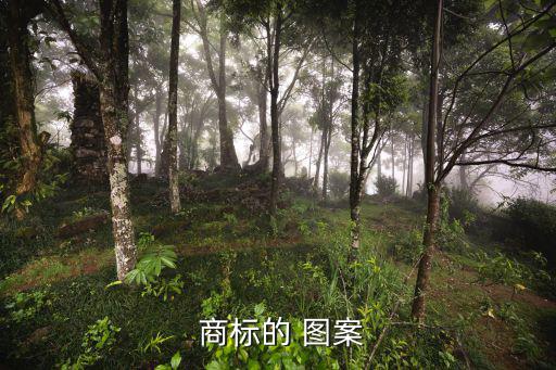商標(biāo)圖案參考,商標(biāo)投標(biāo)須上傳彩色圖案和黑白稿件