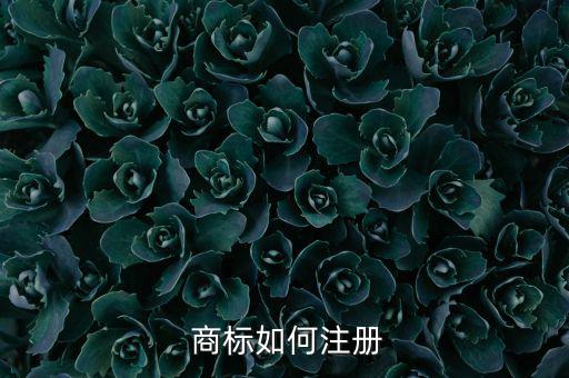 注冊商標,商標注冊流程有何不同?