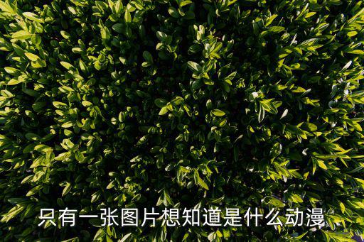 猜一猜卡通圖片,賭博狂熱者亞亞里最初猜拳投票決勝負