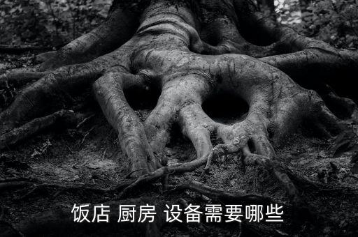 食堂廚房設(shè)備廠家,廚房設(shè)備需要兩個(gè)蒸米飯的節(jié)能煮飯爐