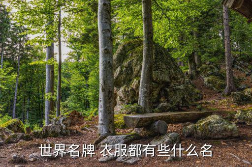 世界名牌 衣服都有些什么名
