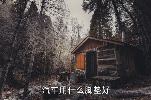 汽車用哪種腳墊最實(shí)用,汽車腳墊分很多種材質(zhì)不同材質(zhì)差別很大