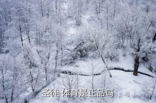 圣徒 體育是正品嗎