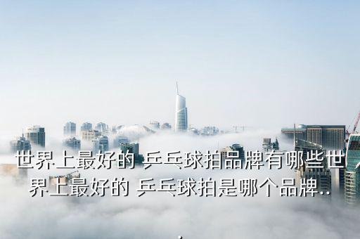 世界上最好的 乒乓球拍品牌有哪些世界上最好的 乒乓球拍是哪個品牌...