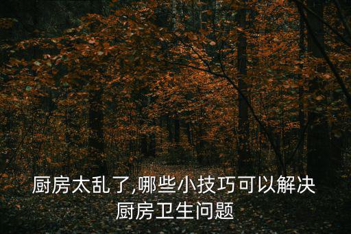  廚房太亂了,哪些小技巧可以解決 廚房衛(wèi)生問(wèn)題