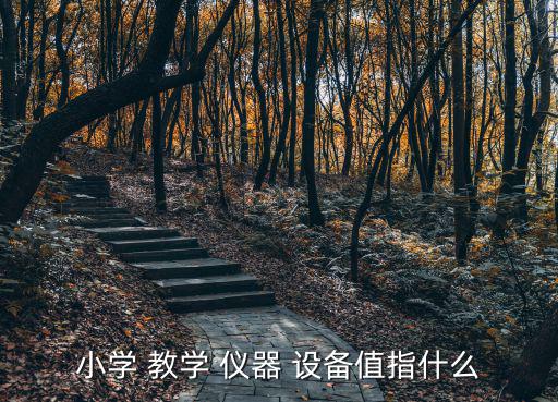 小學(xué) 教學(xué) 儀器 設(shè)備值指什么