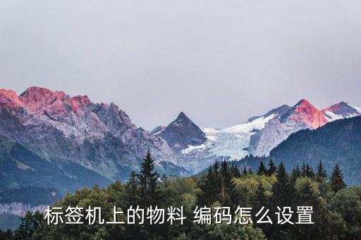 體育用品的編碼怎么打,體育用品店加強(qiáng)數(shù)碼化提升服務(wù)品質(zhì)