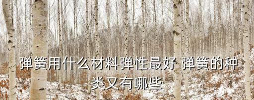  彈簧用什么材料彈性最好 彈簧的種類又有哪些