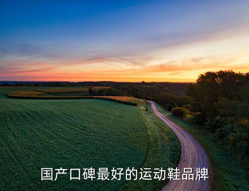 國(guó)產(chǎn)口碑最好的運(yùn)動(dòng)鞋品牌