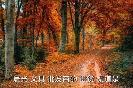晨光 文具 批發(fā)商的 進(jìn)貨 渠道是