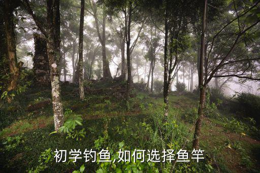 體育用品釣竿怎么選擇最好,釣魚新手如何選擇釣竿?