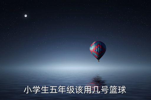 小學生五年級該用幾號籃球