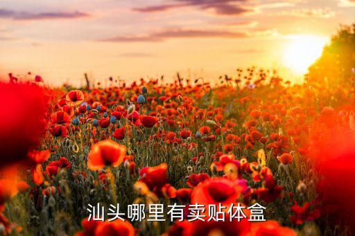 汕頭哪里有賣貼體盒