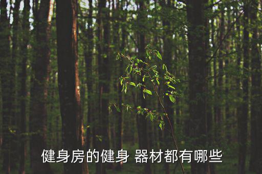 健身房常見器材種類,健身房器材常見的有哪些