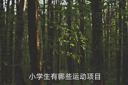 小學(xué)體育球類(lèi),小學(xué)體育教學(xué)內(nèi)容:乒乓球、籃球、排球等