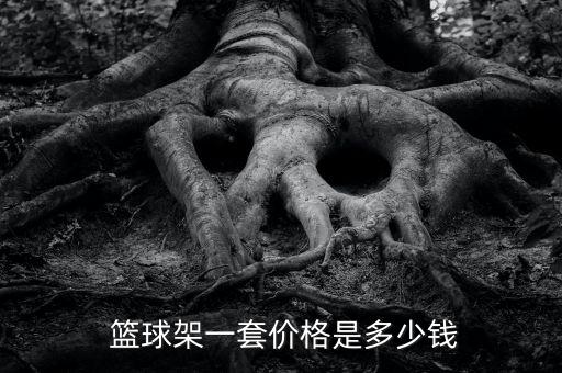  籃球架一套價格是多少錢