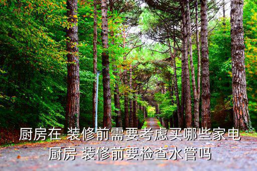  廚房在 裝修前需要考慮買哪些家電 廚房 裝修前要檢查水管嗎