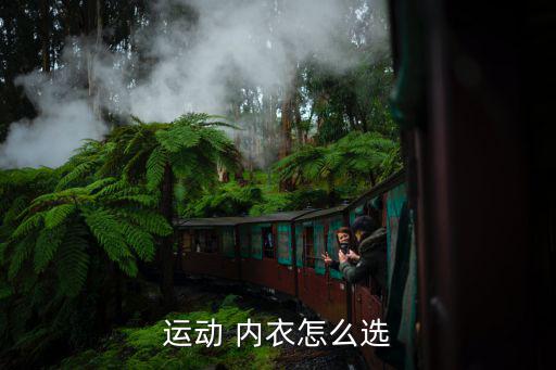 運動 內(nèi)衣怎么選