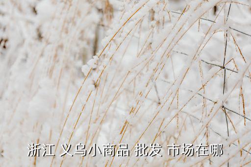浙江 義烏小商品 批發(fā) 市場在哪