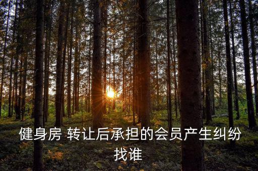  健身房 轉(zhuǎn)讓后承擔(dān)的會員產(chǎn)生糾紛找誰
