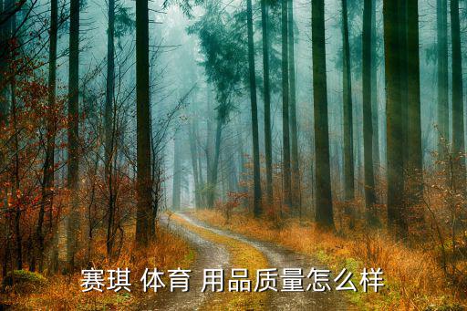 賽琪 體育 用品質量怎么樣