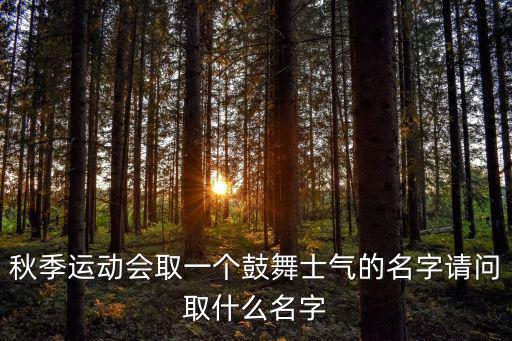 體育運動機構(gòu)取名怎么取,社區(qū)體育場如何取名?