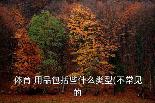  體育 用品包括些什么類(lèi)型(不常見(jiàn)的