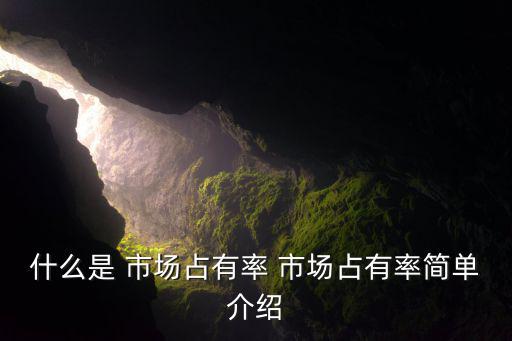 市場(chǎng)占有率法怎么算,增加市場(chǎng)占有率可助降低單位產(chǎn)品成本