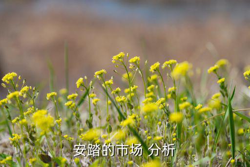 安踏的市場 分析