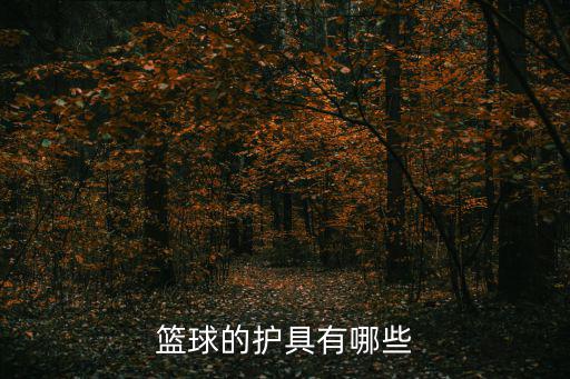 籃球的護(hù)具有哪些
