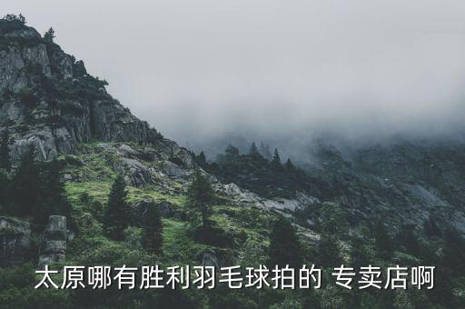  太原哪有勝利羽毛球拍的 專賣店啊