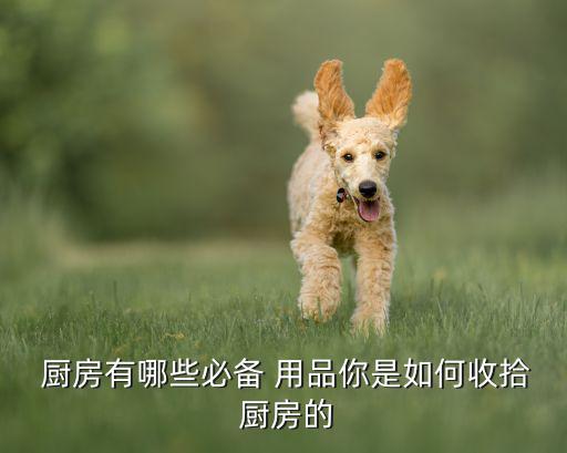 廚房用品 廚房,廚房必備廚具廚房裝飾