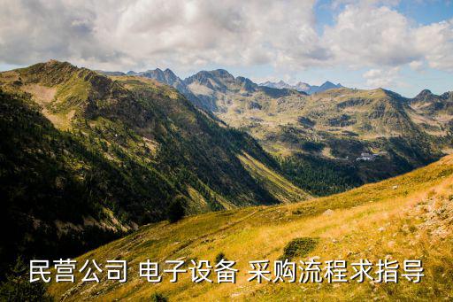 民營公司 電子設(shè)備 采購流程求指導(dǎo)