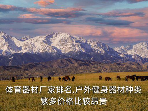 室外體育器材廠家排名,戶外健身器材種類繁多價(jià)格比較昂貴