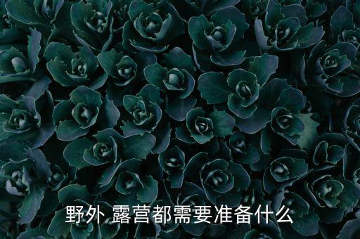 戶(hù)外露營(yíng)圖,野炊神器太厲害!野外露營(yíng)要注意什么?