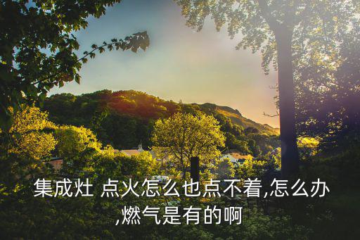 集成灶點火針一直打火,中心火蓋移位或傾斜可重試電池是否正常
