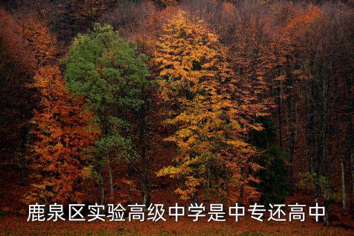 初中音樂器材室,學前教育中心設立多個功能室和多個音樂室