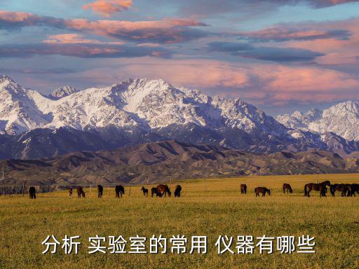 分析 實(shí)驗(yàn)室的常用 儀器有哪些